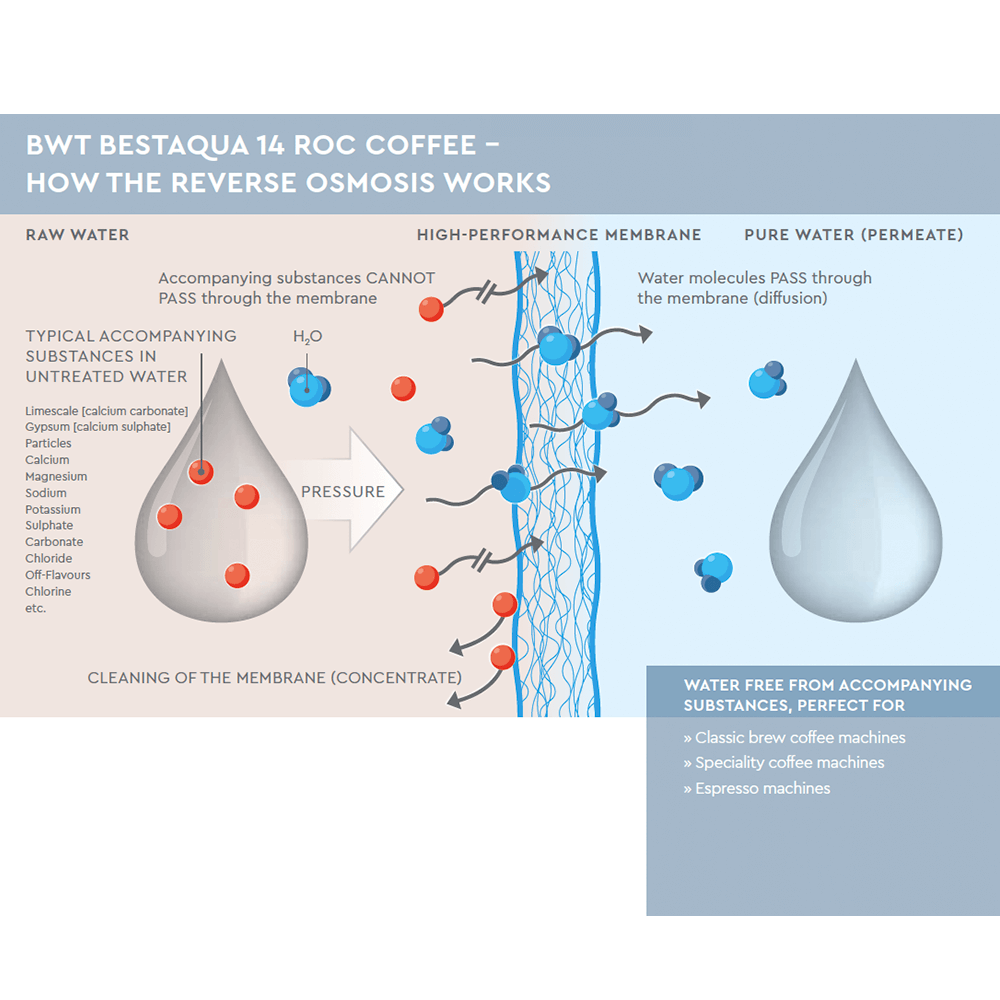 BWT bestaqua ROC Coffee hos Home Roast