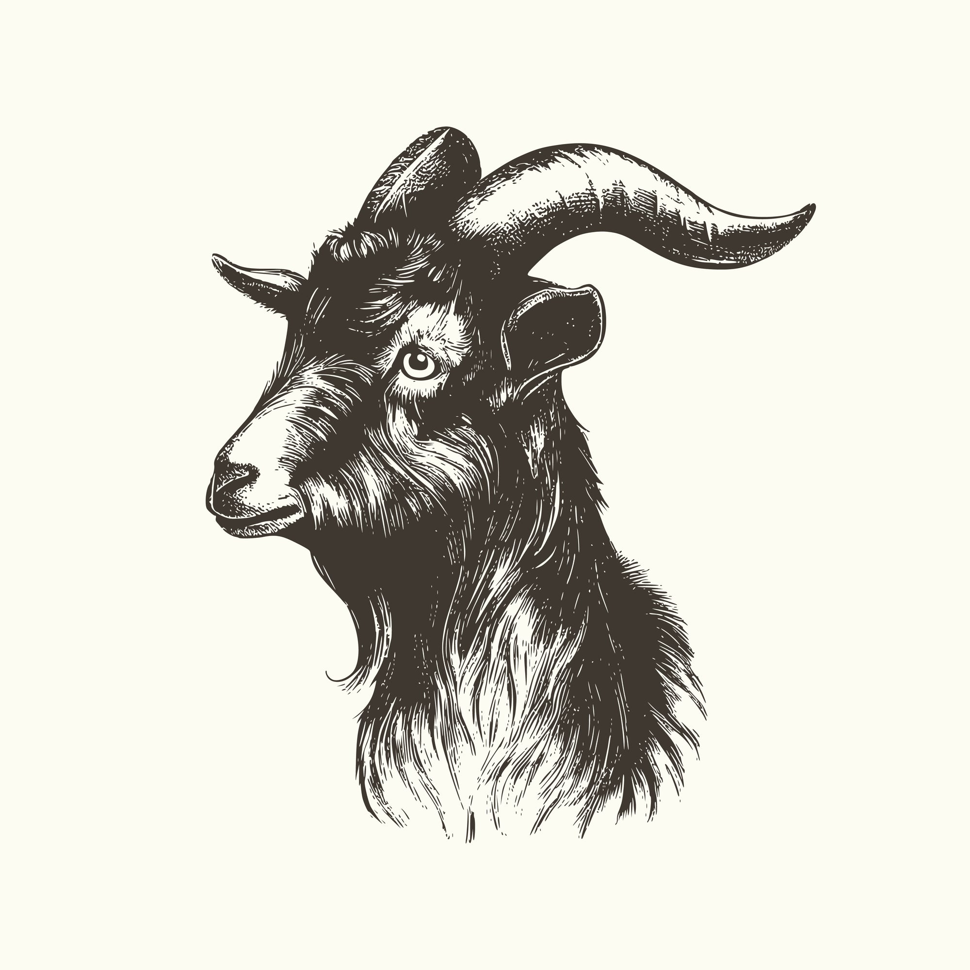 Goat Kaldi Home Roast