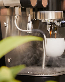 Iberital Vista Espressomaskine hos Home Roast