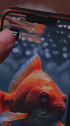 CoffeeOS DiFluid hos Home Roast